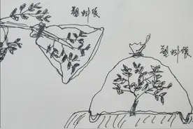 野外生活技能第二集，寻找水源图片