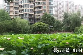 业主群刷屏：小区收废品的老张，在杭州文鼎苑买了套房！真相来了图片