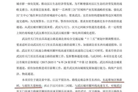 武天高速起点调整，天鹅湖大道沿线居民可以放心了图片