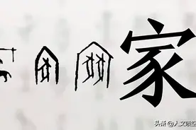 喷空：牛奶、羊奶，为什么人类不喝猪奶？图片