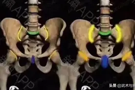 太极秘籍一说——盆骨图片