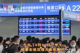 成都东站现节前大面积晚点 官方：西成高铁、达成铁路检修图片