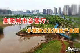 衡阳城市会客厅：丰家洲文化科技产业园原来这么美图片