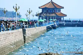 山东青岛：清明小长假海边游客多图片