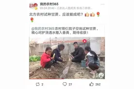 我的农村365你好图片