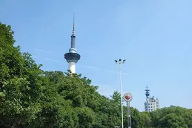 诗歌:《药都樟树，我可爱的家乡》图片