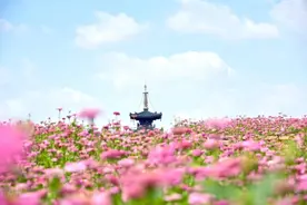 逃离城市 约上好友 来喝杯茶，赏一朵花图片