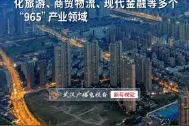 看好武汉扎根武汉 与英雄城市共创未来图片