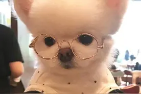 一个引领潮流的小可爱，弄潮儿图片