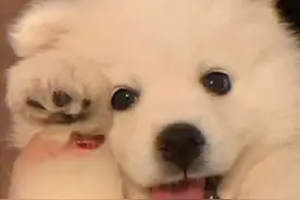 文案｜钱钟书杨绛爱情图片