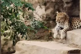 （散文）太原有个铁三局图片