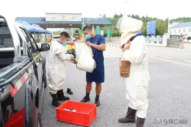 马蜂要收“过路费”？消防员可不答应图片