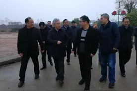 程琪：小桃子大品牌 电商助力产业发图片