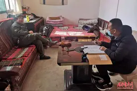 养猪场的秘密图片