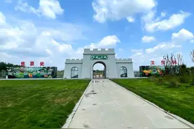 《魔术：非一般的引领》——首届中国乡村文化产业创新发展大会盛典精彩节目赏析图片
