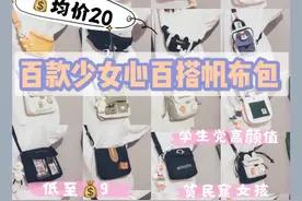 高颜值少女心帆布包 平价学生党图片