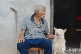 萌犬守护百岁主人，102岁老兽医能与动物“完美交流”！图片