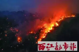 “12·5”狮卧山森林火灾案被告人一审获刑三年六个月图片