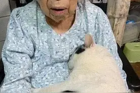 猫咪被放奶奶那养，一个月后，感觉猫可能带不走了图片