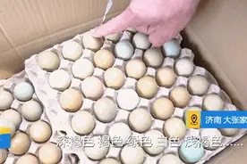 母鸡中的战斗鸡！山东这个村的鸡能下七彩蛋，还爱听摇滚，不给听就撞墙！图片