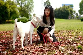小说：荒岛求生，带着美人鱼大战黑熊怪图片
