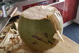 一个北方人的椰子情怀图片