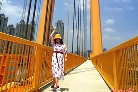 周日打卡杨泗港大桥｜图集图片