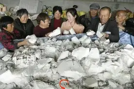 河南小两口回乡创业：与16位贫困户同行，想让更多人挣更多的钱图片