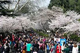 考上武汉大学意味着什么？今后更有底气面对就业、升学、考公务员图片
