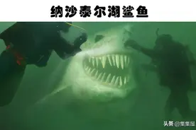 水下的发现：在水下被人类发现的6种可怕的事物图片