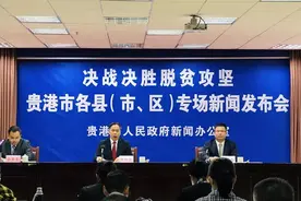 决战决胜脱贫攻坚！贵港这场新闻发布会，透露了这些消息图片