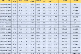 17只2021上市新股跌破发行价图片