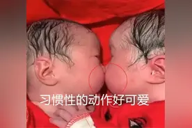 龙凤胎出生半个小时，哥哥就抢走妹妹初吻，暖心的一幕让护士动容图片