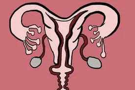 在女性体内，没遇见卵子的小蝌蚪都去哪了？看完女性可能要偷笑图片