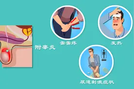 蛋蛋又痛又肿还发烧？小伙长期熬夜得急性附睾炎？这些症状要小心图片