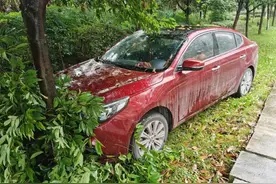 江津双福：一轿车撞树上，驾驶员在车内呈半昏迷状态，无人报警，这是怎么了？图片