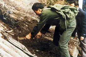 广西两农民深山采药，意外发现美国战机残骸，53年前谜团就此解开图片