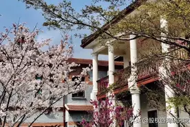 股权结构 | 有限责任公司“AB股”架构的运用场景图片
