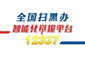 12337全国扫黑办智能化举报平台!快速举报，实时受理！图片