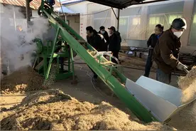秸秆不能一烧了之！吉林省深入实施“秸秆变肉”工程，真是一举多得图片