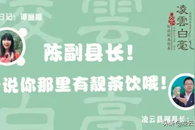 2020年凌雲白毫春茶交易云展会|县长带您云逛展图片