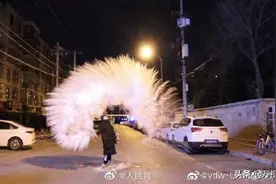 冻傻预警+妖风作祟，天津人：我竟然还笑出了声图片