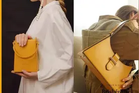 你还在背香奈儿、蔻驰等烂大街的包包？安利几款独特轻奢款给大家图片