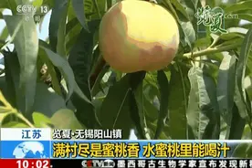 中国哪里的水蜜桃最好吃？四种有名的水蜜桃，全都吃过的人很少图片