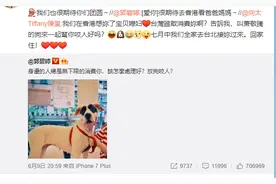 还未领证已改口！郭碧婷回应向太支持，嘴甜喊向家二老爸爸妈妈图片