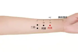 内关——治疗心脏疾病的第一大穴图片