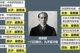 在高晓松家硕士等同于文盲？打脸的来了！让你见识什么叫学神家庭图片