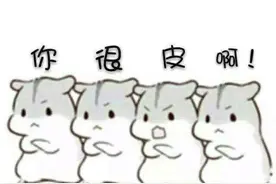 小仓鼠表情包1图片
