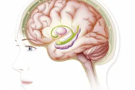 「精品课件」心电图总是记不住？这个速记口诀收藏起来图片