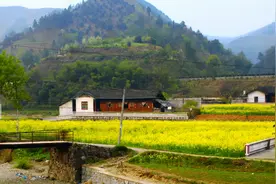 厌倦城市生活想回农村老家，出世累了又想着避世？网友：一言难尽图片